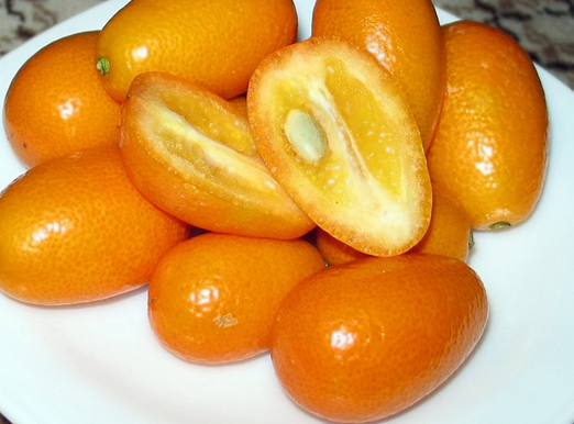 Kamkat Meyvesi