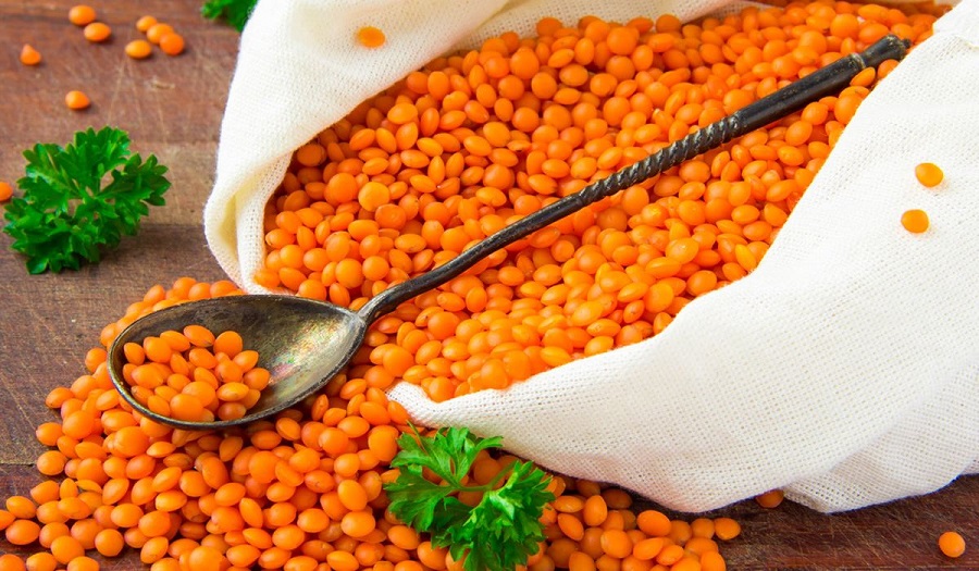 protein deposu besinler